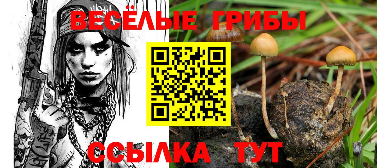 Анжеро-Судженск  Псилоцибиновые грибы MAGIC MUSHROOMS  Вход с VPN 